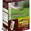 DCM Graszaad Riparo® 2 DCM Graszaad Riparo® -Goedkope Groen & Gereedschap Winkel dcm graszaad riparo 1586240793 3 l
