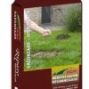 DCM Graszaad Riparo® -Goedkope Groen & Gereedschap Winkel dcm graszaad riparo 1586240793 l