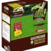 DCM Graszaad Riparo Plus (2,6 Kg) -Goedkope Groen & Gereedschap Winkel dcm graszaad riparo plus 1586240789 2 l