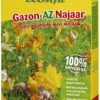 ECOstyle Gazon-AZ Najaar 2 Kg 1 ECOstyle Gazon-AZ Najaar 2 Kg -Goedkope Groen & Gereedschap Winkel ecostyle gazon az najaar 2 kg 1614086099 l