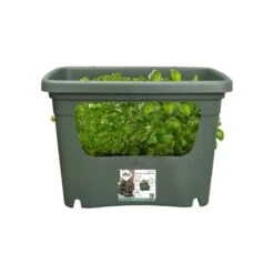 Elho Plantenbak Green Basics Stack & Grow Large Groen 7 Elho Plantenbak Green Basics Stack & Grow Large Groen -Goedkope Groen & Gereedschap Winkel elho plantenbak green basics stack grow large groen 800x800 620e3d4daa1b4 l