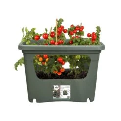Elho Plantenbak Green Basics Stack & Grow Large Groen 8 Elho Plantenbak Green Basics Stack & Grow Large Groen -Goedkope Groen & Gereedschap Winkel elho plantenbak green basics stack grow large groen 800x800 620e3d4de4622 l