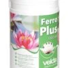Velda Ferro Plus 1000 Ml 2 Velda Ferro Plus 1000 Ml -Goedkope Groen & Gereedschap Winkel ferro plus 1000 ml 1586498809 l