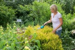 GARDENA Accu Gras- En Buxusschaar Set Accucut Li -Goedkope Groen & Gereedschap Winkel gardena accu gras en buxusschaar set accucut li 1619704816 l