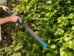GARDENA Accu Heggenschaar EasyCut Li 9 GARDENA Accu Heggenschaar EasyCut Li -Goedkope Groen & Gereedschap Winkel gardena accu heggenschaar easycut li 1619704830 1 l