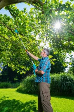 GARDENA Accu Telescopische Snoeizaag TCS 20/18 P4A Set 8 GARDENA Accu Telescopische Snoeizaag TCS 20/18 P4A Set -Goedkope Groen & Gereedschap Winkel gardena accu telescopische snoeizaag tcs 20 18 p4a set 1000x1500 640af32266025 l