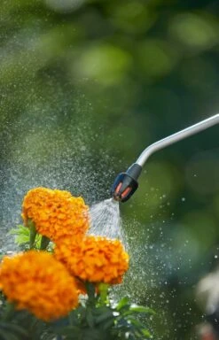 GARDENA Drukspuit 5 L -Goedkope Groen & Gereedschap Winkel gardena drukspuit 5 l 1619704865 1 l