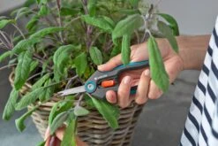 GARDENA FreshCut -Goedkope Groen & Gereedschap Winkel gardena freshcut 1500x1000 640af81397952 l