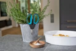 GARDENA HerbCut Set 9 GARDENA HerbCut Set -Goedkope Groen & Gereedschap Winkel gardena herbcut set 1500x1000 640af8238ccaf l