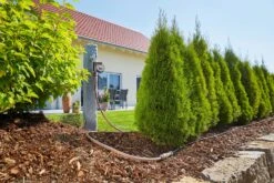 GARDENA Micro-Drip-System Startset M 25m Autom. Rijplanten -Goedkope Groen & Gereedschap Winkel gardena startset m 25m autom 1500x1000 640af4f6bb51a l