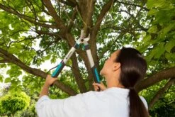 GARDENA Takkenschaar EasyCut 500 B 7 GARDENA Takkenschaar EasyCut 500 B -Goedkope Groen & Gereedschap Winkel gardena takkenschaar easycut 500 b 1500x1000 640af7e5d4f80 l