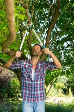 GARDENA Takkenschaar EasyCut 680 B 9 GARDENA Takkenschaar EasyCut 680 B -Goedkope Groen & Gereedschap Winkel gardena takkenschaar easycut 680 b 1000x1500 640af7e944a14 l