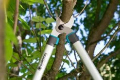 GARDENA Takkenschaar EasyCut 680 B 8 GARDENA Takkenschaar EasyCut 680 B -Goedkope Groen & Gereedschap Winkel gardena takkenschaar easycut 680 b 1500x1000 640af7e824321 l