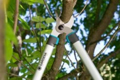 GARDENA Takkenzaag EasyCut 680 B (12003 + 8754 E12) 8 GARDENA Takkenzaag EasyCut 680 B (12003 + 8754 E12) -Goedkope Groen & Gereedschap Winkel gardena takkenschaar easycut 680 b 8754 1500x1001 640af7ebad3ab l