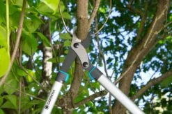 GARDENA Takkenschaar EnergyCut 750 B -Goedkope Groen & Gereedschap Winkel gardena takkenschaar energycut 750 b 1500x1000 640af848a316f l