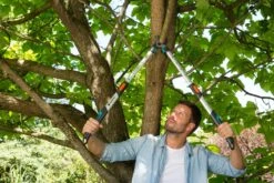 GARDENA Takkenschaar TeleCut 650-900B -Goedkope Groen & Gereedschap Winkel gardena takkenschaar telecut 650 900b 1500x1000 640af7ee503de l