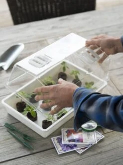 Nature Deksel Voor Kweekbak 55x31cm 8 Nature Deksel Voor Kweekbak 55x31cm -Goedkope Groen & Gereedschap Winkel nature deksel voor kweekbak 55x31cm 595x800 6214a0230c942 l