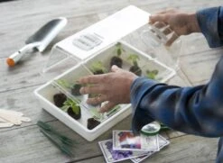 Nature Deksel Voor Kweekbak 55x31cm 9 Nature Deksel Voor Kweekbak 55x31cm -Goedkope Groen & Gereedschap Winkel nature deksel voor kweekbak 55x31cm 800x587 6214a0233f631 l