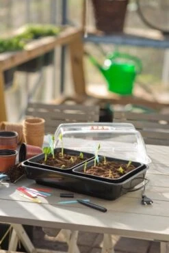 Nature Kweekkas Verwarmd 38x24cm 10 Nature Kweekkas Verwarmd 38x24cm -Goedkope Groen & Gereedschap Winkel nature kweekkas verwarmd 38x24cm 534x800 6214a026e40ab l