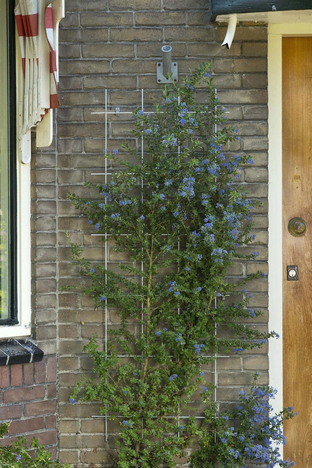 Nature Metalen Klimrek Grijs - H145x72,5cm 4 Nature Metalen Klimrek Grijs - H145x72,5cm - Afbeelding 2