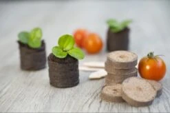 Nature Turftabletten 48st -Goedkope Groen & Gereedschap Winkel nature turftabletten 48st 800x532 6214a01453d91 l