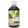 Pokon Bio Plantkuur Bladinsectgevoelige Planten Concentraat 500ml -Goedkope Groen & Gereedschap Winkel pokon bio plantkuur bladinsecten 500ml 1614005885 l