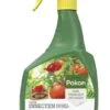 Pokon Bio Tegen Insecten Polysect GYO Spray 800ml -Goedkope Groen & Gereedschap Winkel pokon bio tegen insecten spray 800ml 1614005874 l