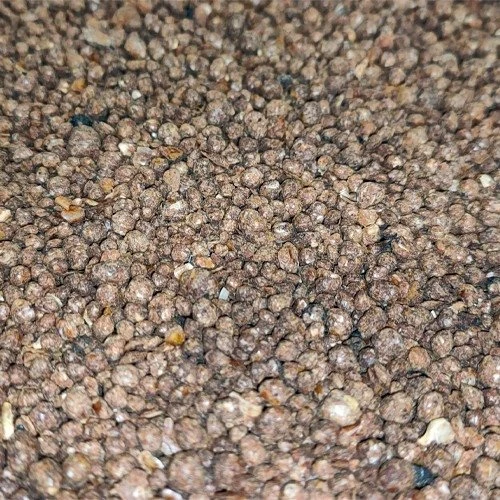 Sedumdak Mestkorrels 3,2KG Voor Daktuin 4 Sedumdak Mestkorrels 3,2KG Voor Daktuin - Afbeelding 2