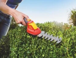 WOLF-Garten Accubuxus Finesse LI-ION PW 30B -Goedkope Groen & Gereedschap Winkel wolf garten accubuxus finesse li ion pw 30b 1619177776 1 l