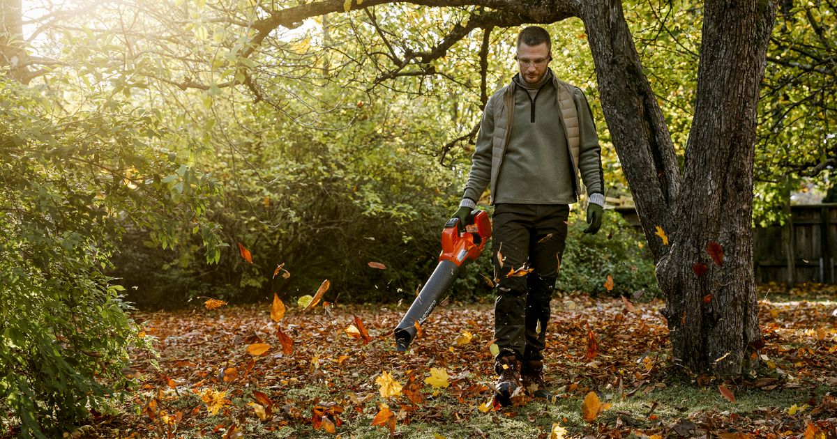 Goedkope Groen & Gereedschap Winkel -Goedkope Groen & Gereedschap Winkel 1163563465