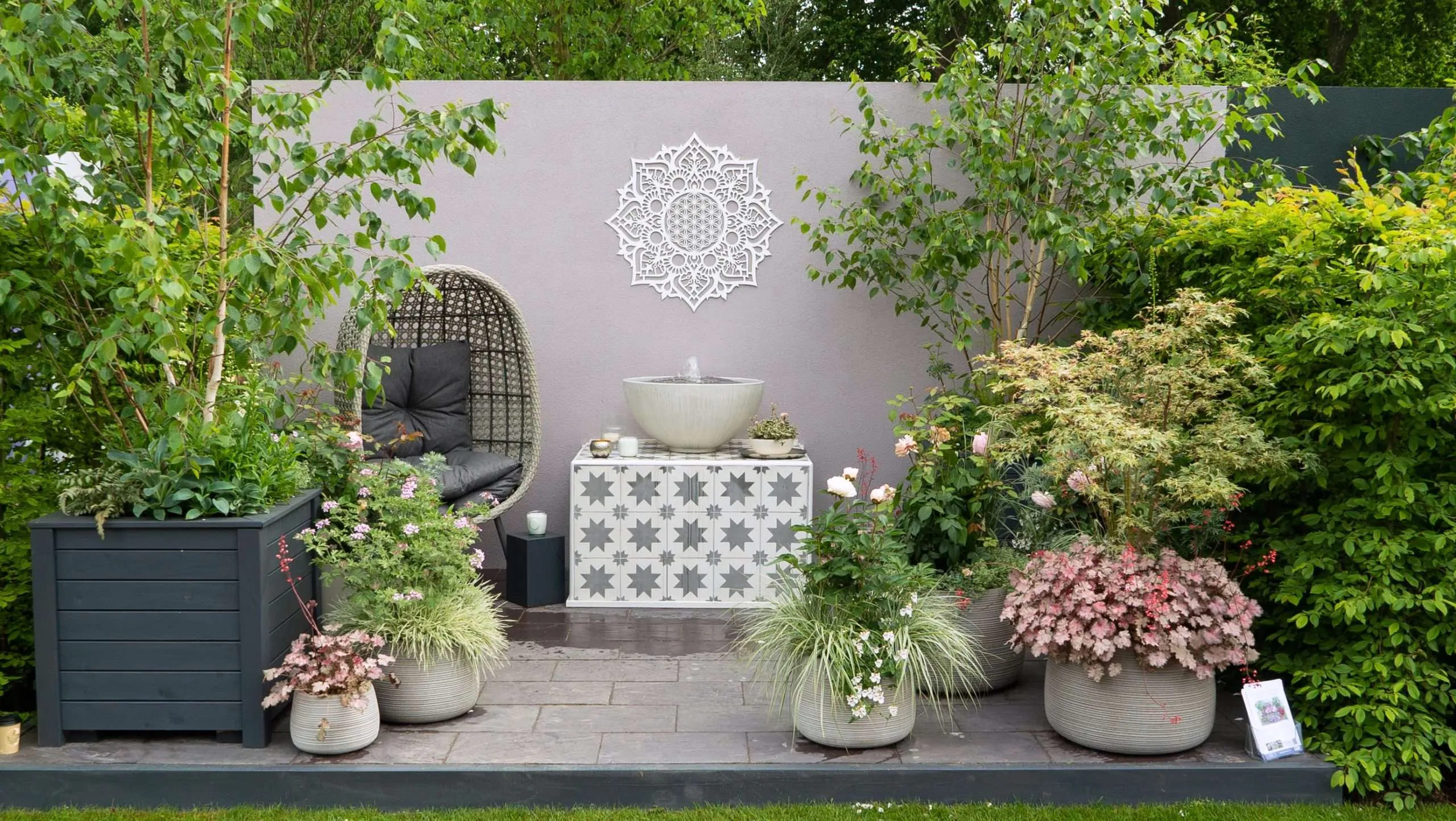 Goedkope Groen & Gereedschap Winkel -Goedkope Groen & Gereedschap Winkel SOLUS Chelsea 2022 A7 20 scaled 1